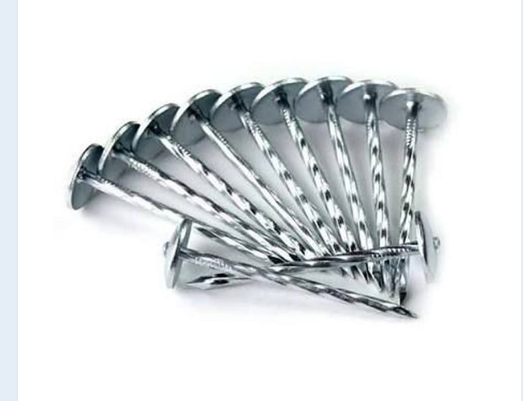 Umbrella Head Roofing Nails (100pcs)